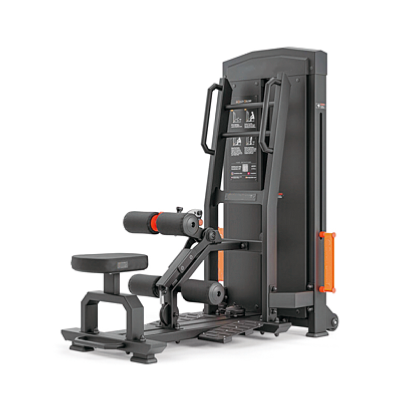 SELECTORIZED STANDING HIP TH...