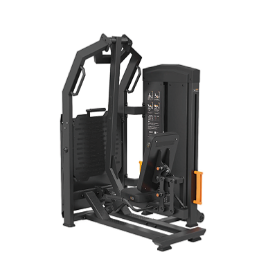 SELECTORIZED PENDULUM HIP PR...