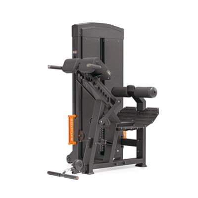 SELECTORIZED BACK EXTENSION