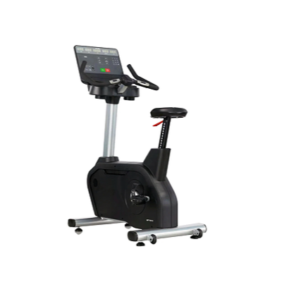UPRIGHT BIKE AF6007